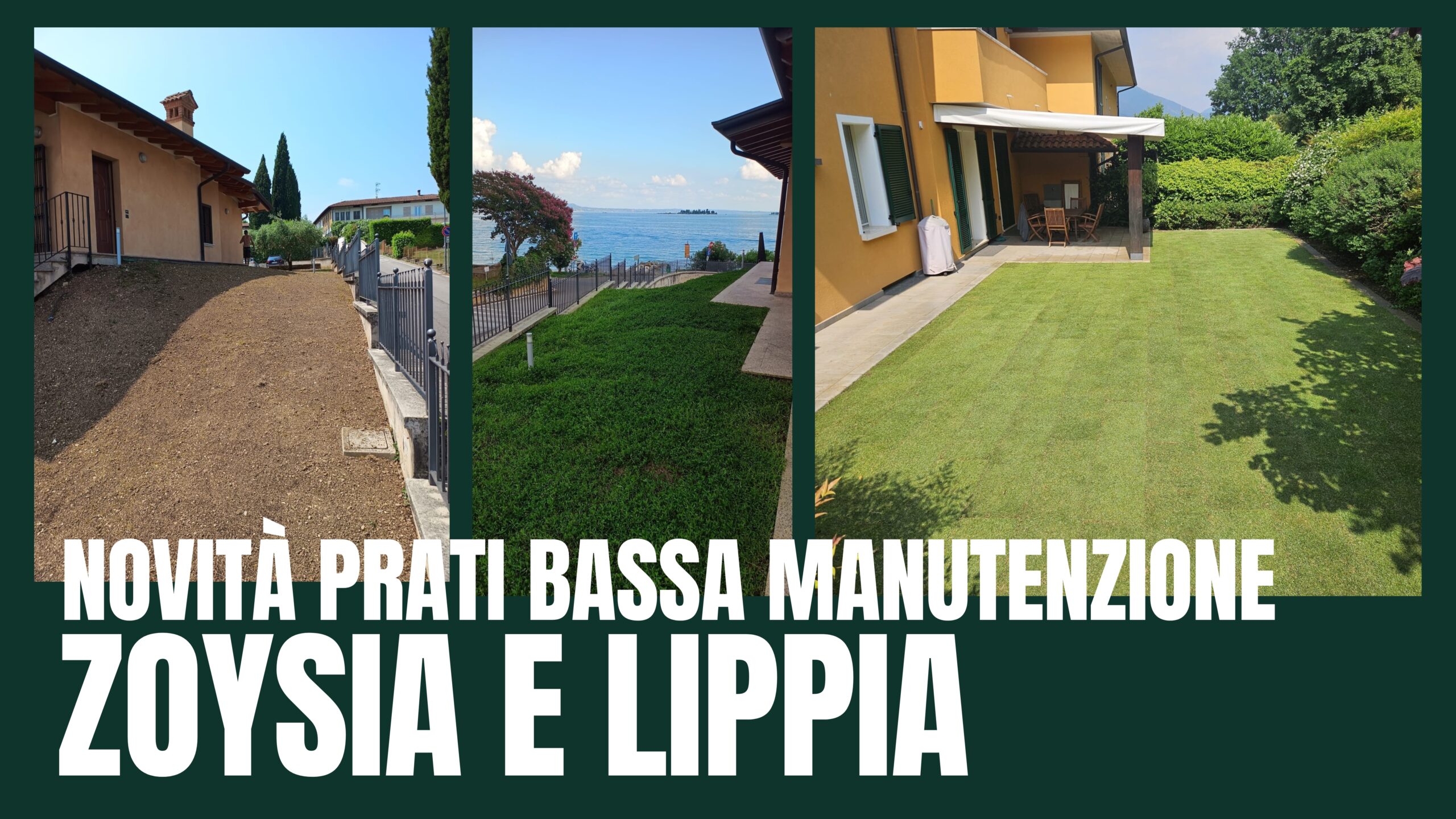 Prato in Zoysia e Lippia per giardini con bassa manutenzione